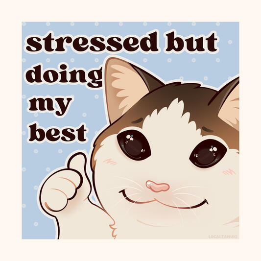 stressed cat stressed cat