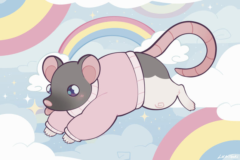 rainbow rat